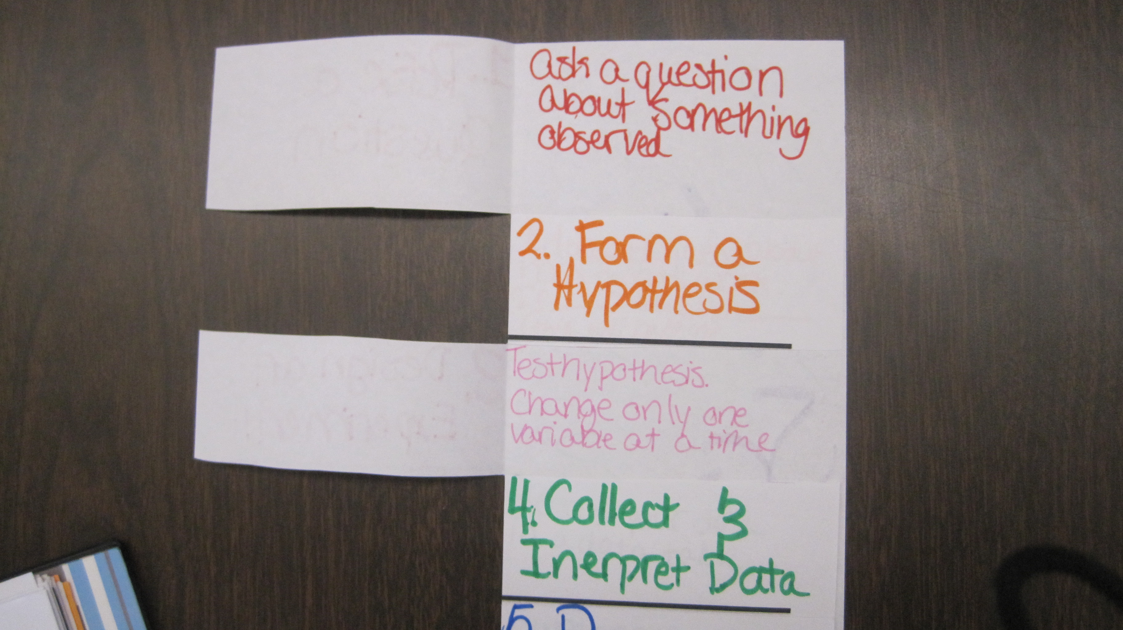 Scientific method essay questions middle school